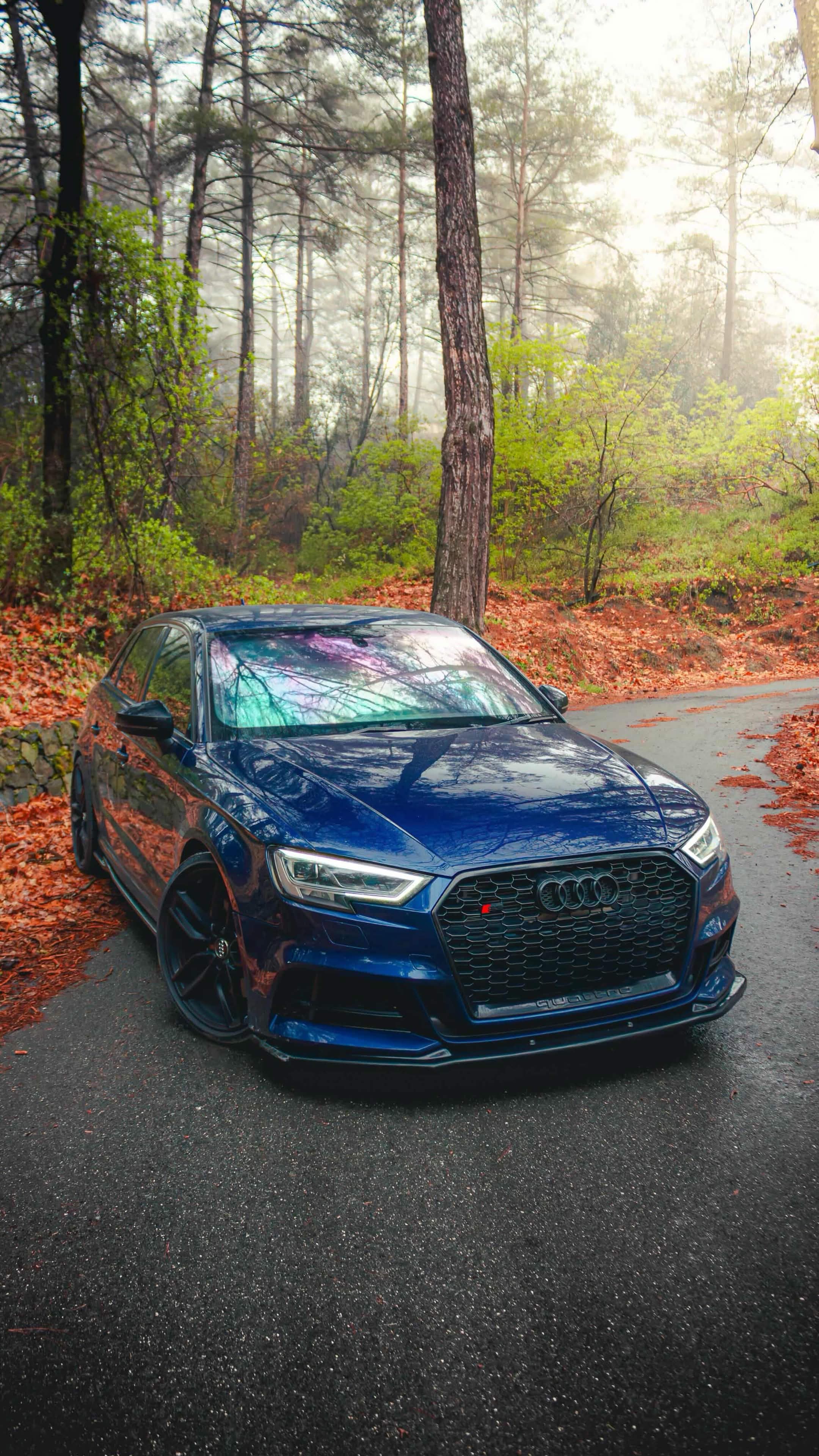 Blue Audi S3 photographed on a forest road
